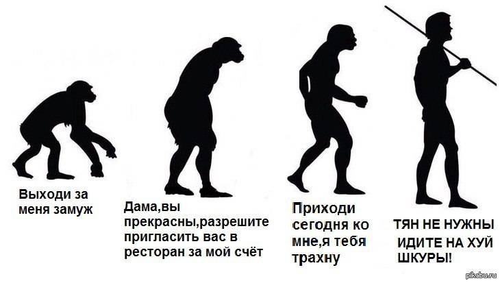 Эволюция | Пикабу