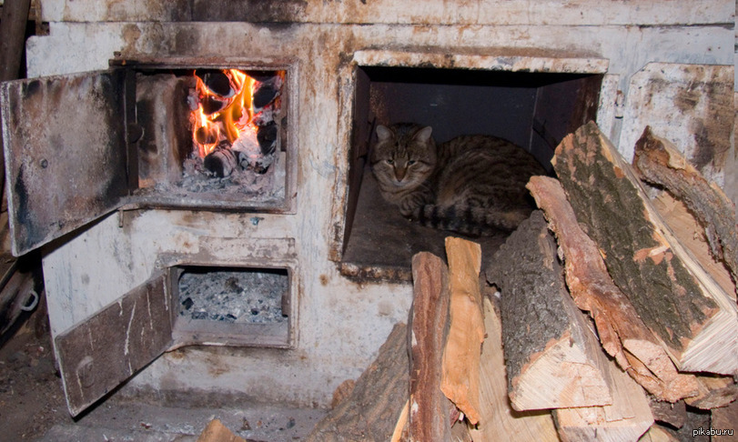 Чем топить печь. Растопка печи. Печь топится. Печка на дровах. Кот на печке.