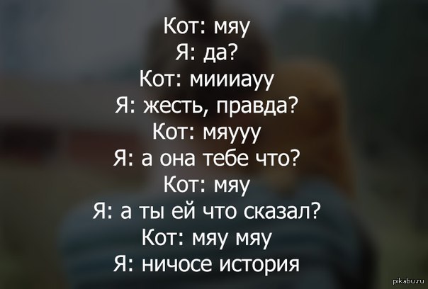 Правда кот. Я что я ничего другие вон что. Я что я ничто другие вон. Диалог а че а ты сё я ничем другие во че.