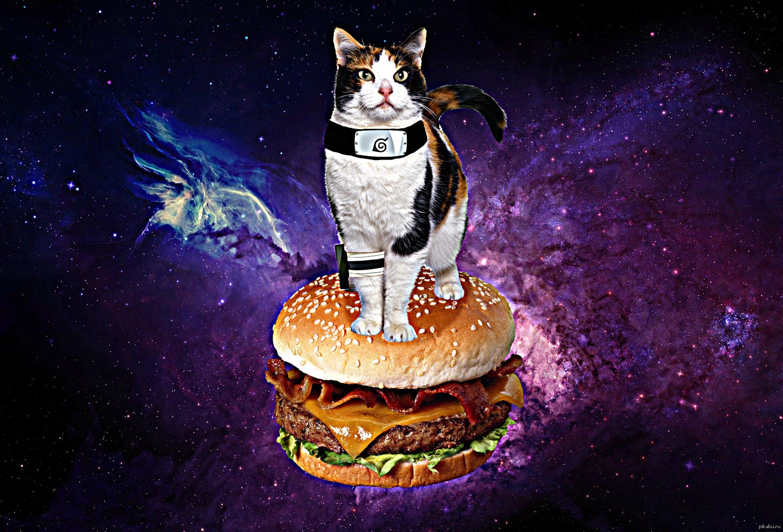 Гарфилд космический. Космический кот. Кот в космосе. Коты космос еда. Кот на бургере в космосе.