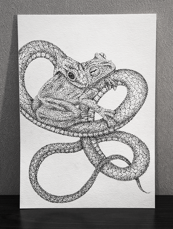 Snake - My, Toad, Dotwork, Drawing, Snake, My