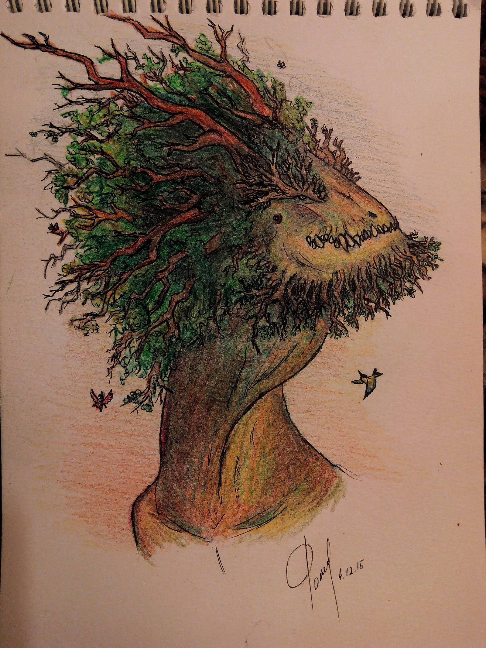 Древесный дракон Вася | Пикабу