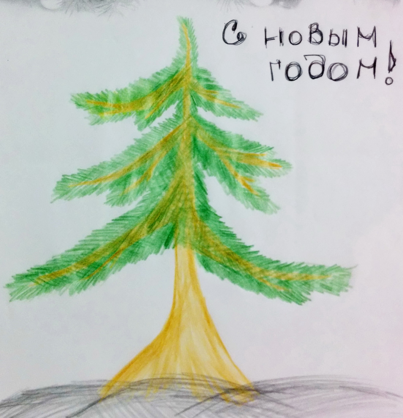 Ёлки часть 3 (длиннофотопост) | Пикабу
