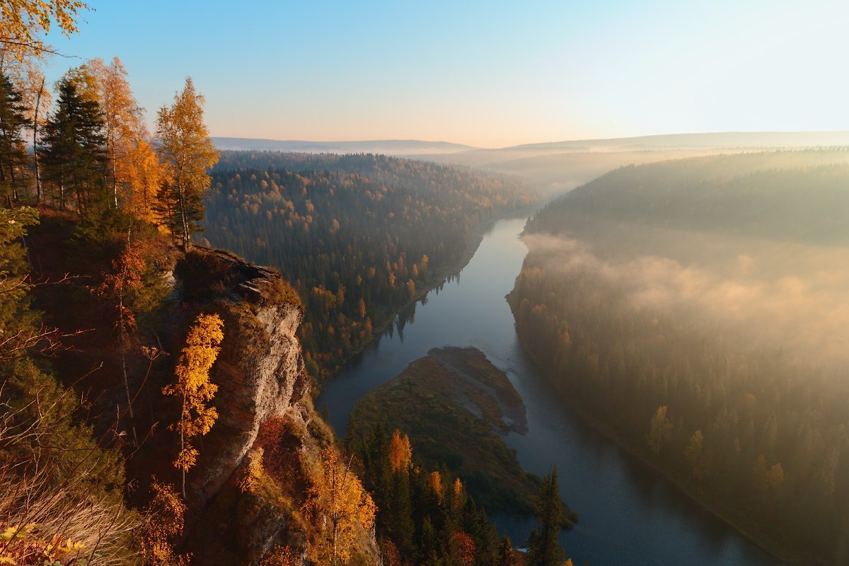 Nature - Photo, Forest, River, Nature