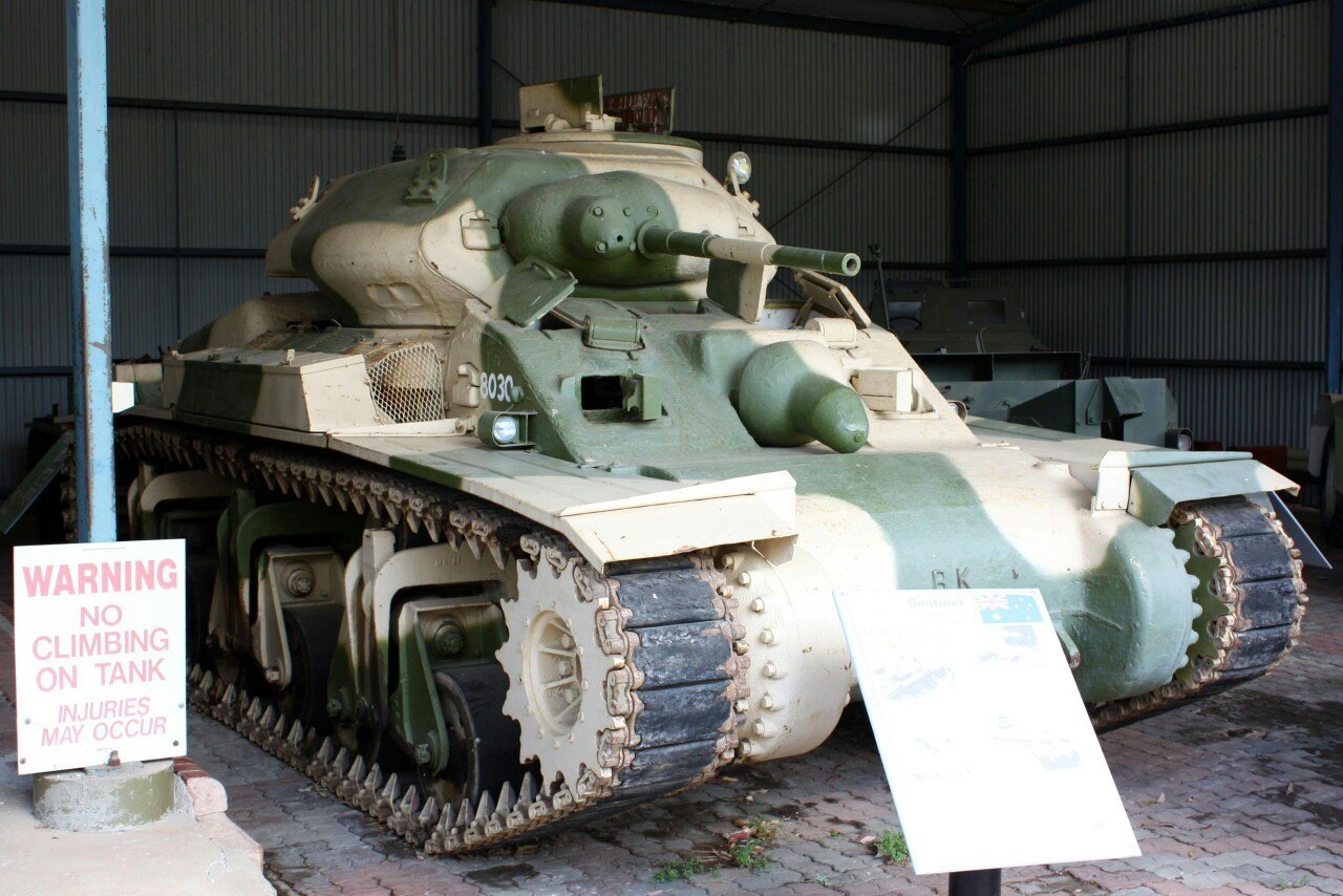 Just a male Australian tank - NSFW, Tanks, 