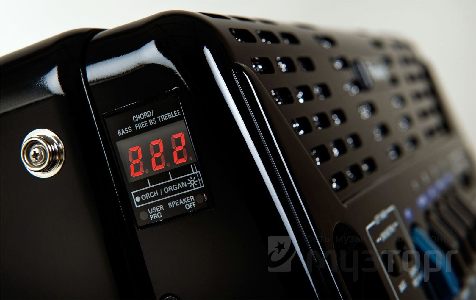 ЦИФРОВОЙ АККОРДЕОН ROLAND FR-1X BK | Пикабу