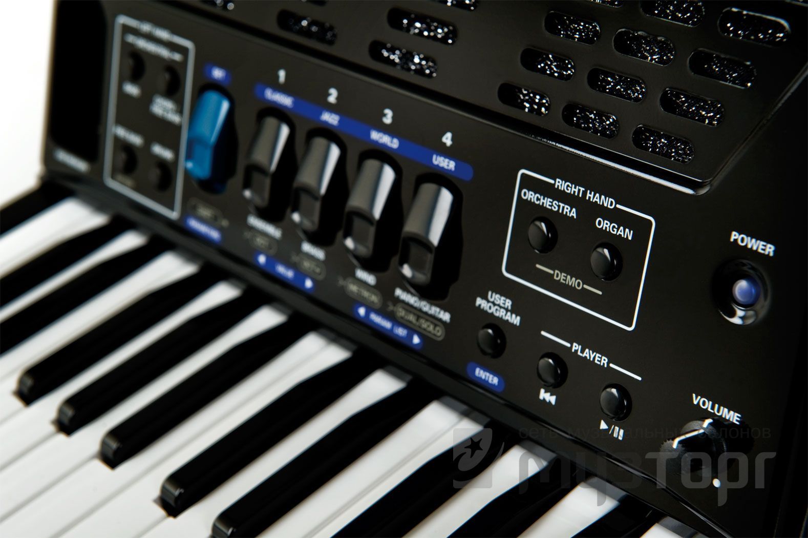 ЦИФРОВОЙ АККОРДЕОН ROLAND FR-1X BK | Пикабу