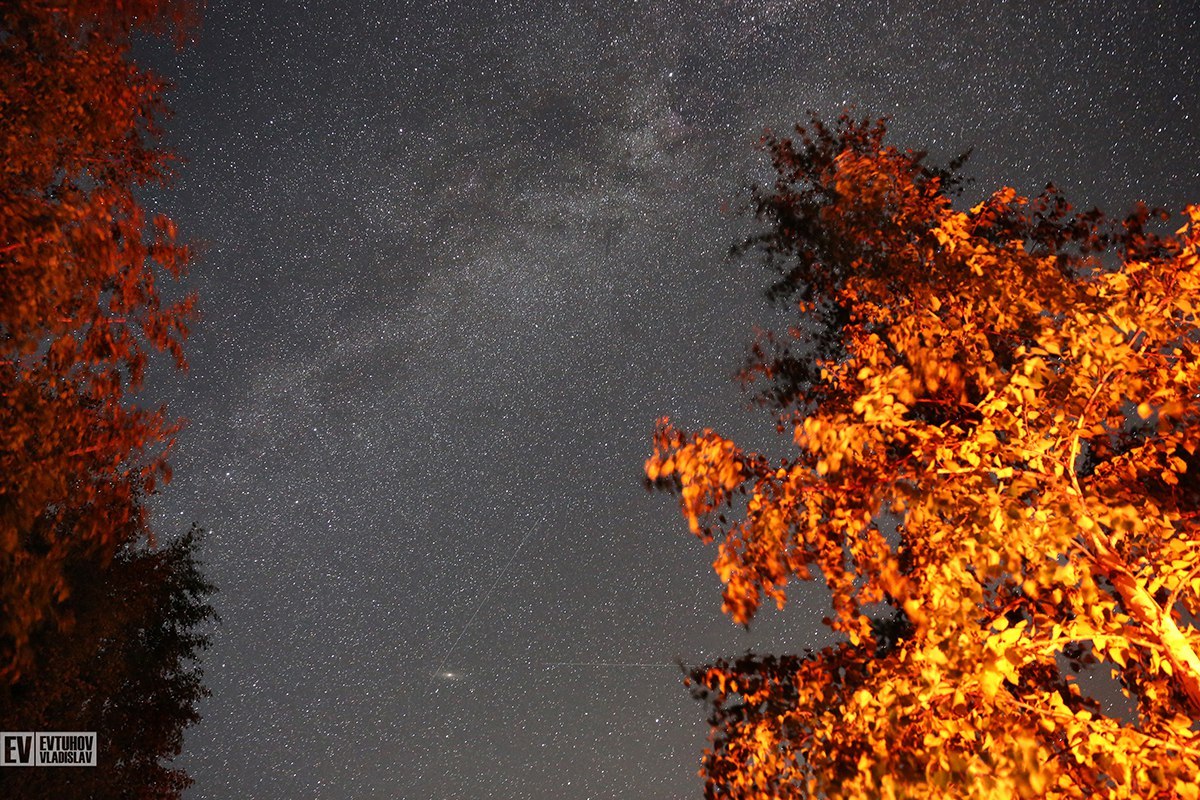 Ночное небо | Пикабу