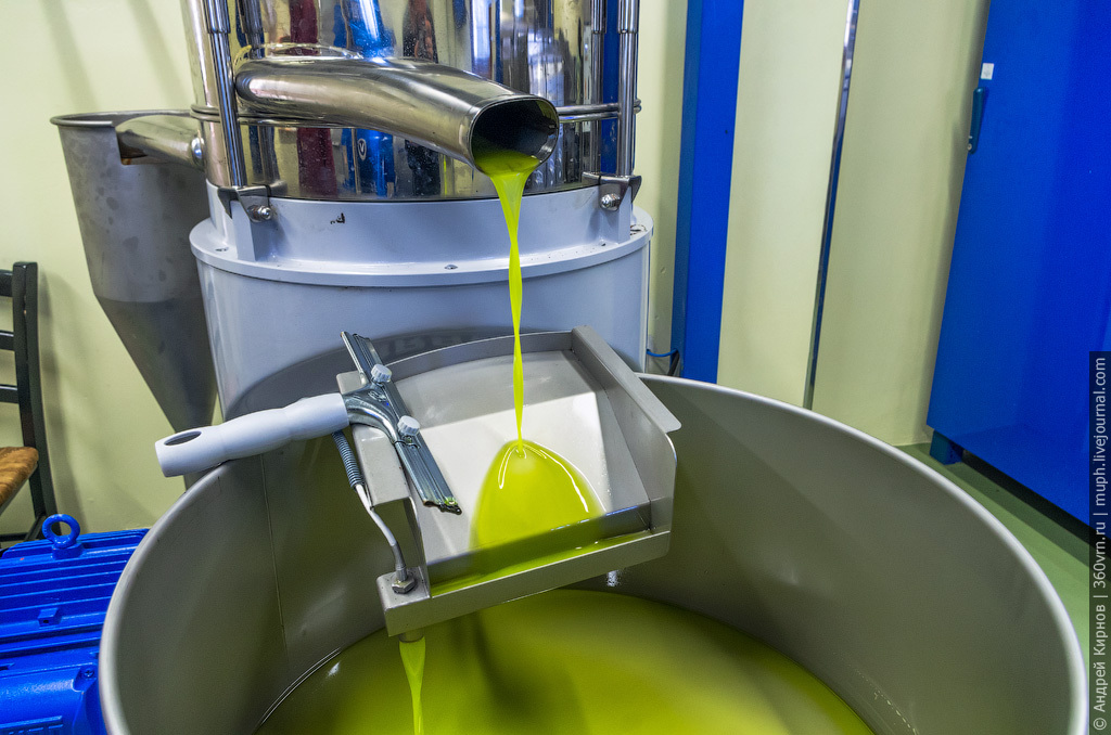 How olive oil is made in Italy - Video, Production, Olives, Olive oil, Italy, Longpost