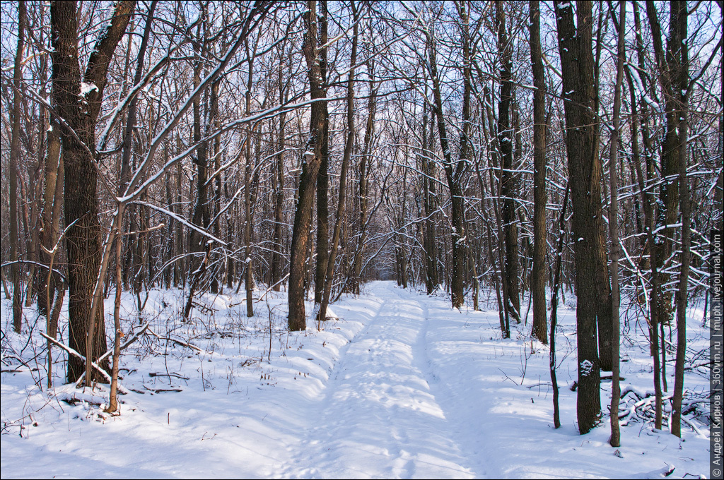 Эх, дороги... | Пикабу