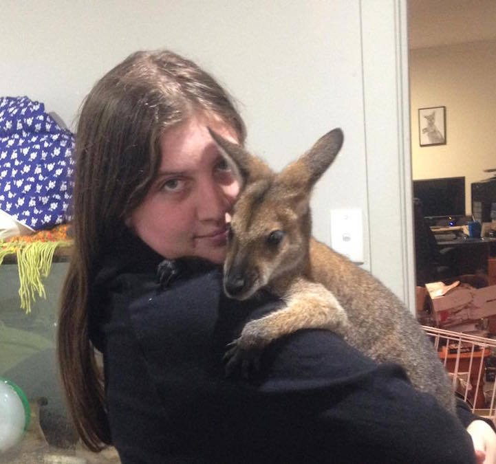 Самка кенгуру навестила свою спасительницу. | Пикабу