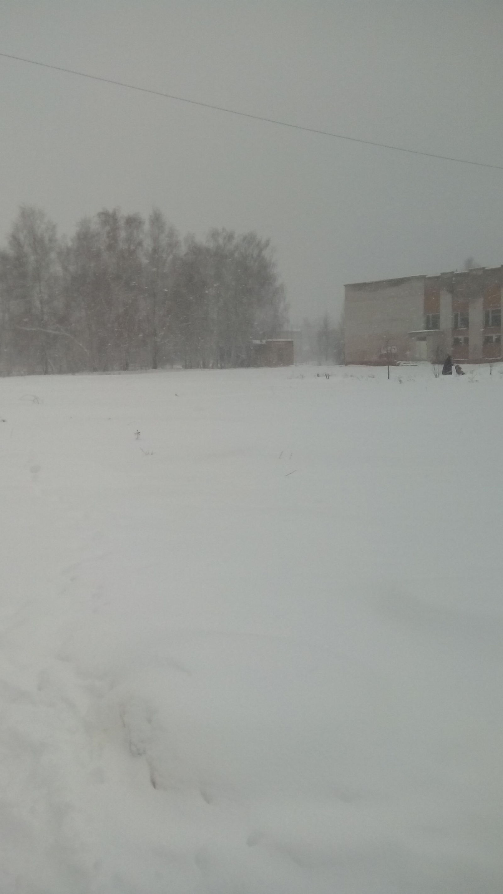 Снег.. | Пикабу