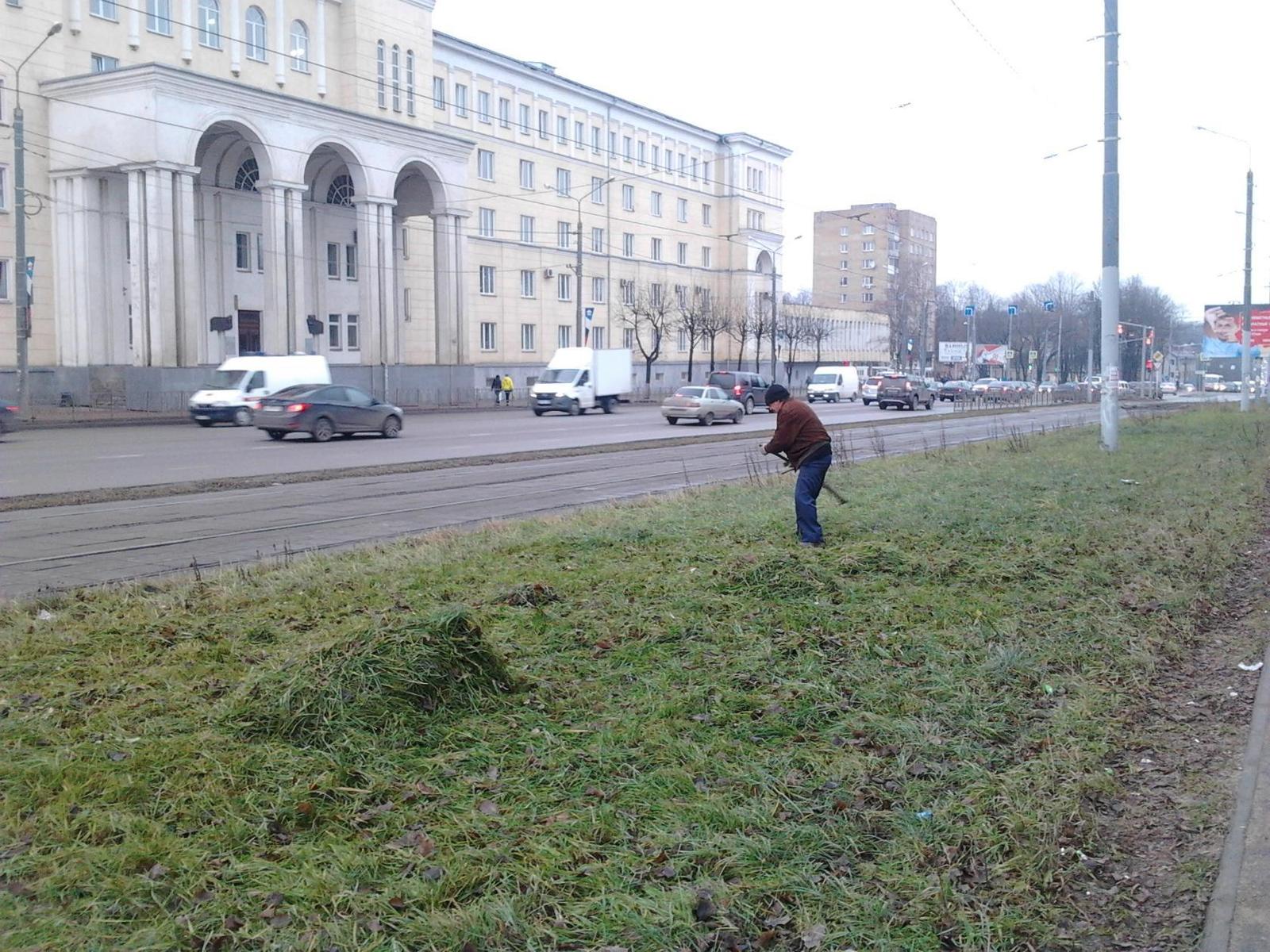 Декабрь самое время косить траву... | Пикабу