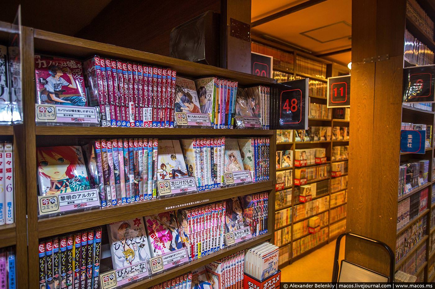 JAPAN. How I got started in the masturbation library - NSFW, Livejournal, Japan, Library, , Hentai, Flophouse, Longpost