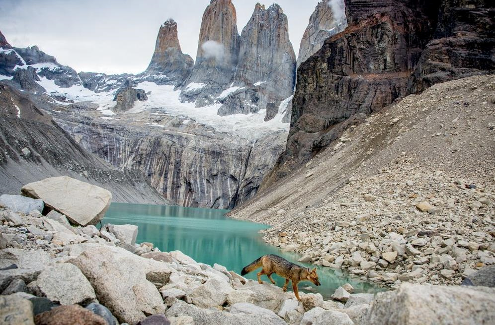 Самые популярные фото года от National Geographic | Пикабу