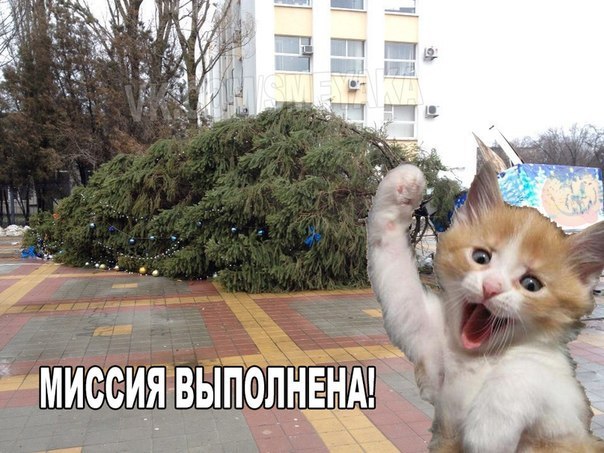 фото миссия выполнена