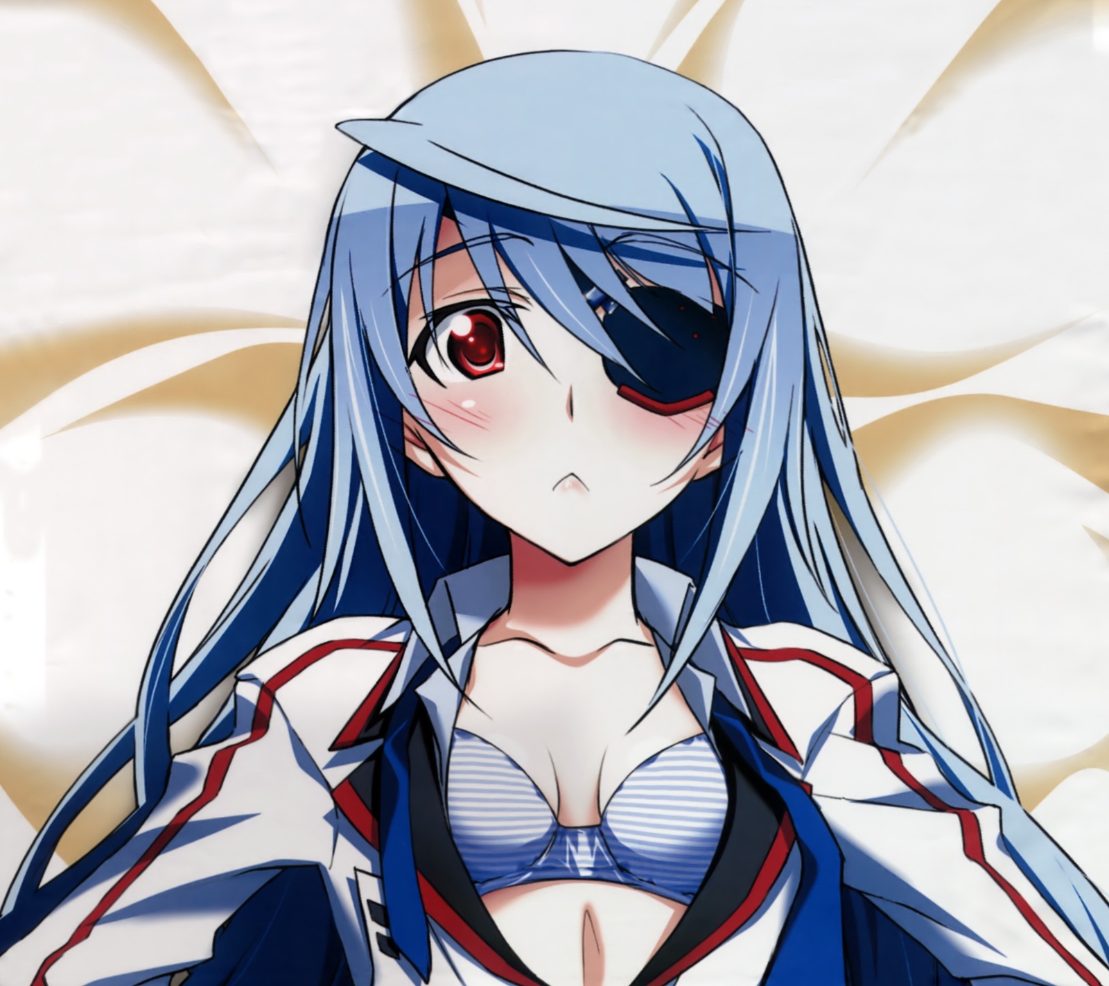 Infinite Stratos - NSFW, Infinite stratos, Anime Art, Аниме, Эротика, Клубничка, Грудь, Длиннопост, Этти