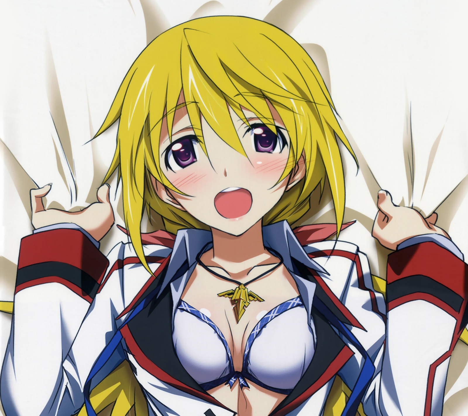 Infinite Stratos - NSFW, Infinite stratos, Anime Art, Аниме, Эротика, Клубничка, Грудь, Длиннопост, Этти