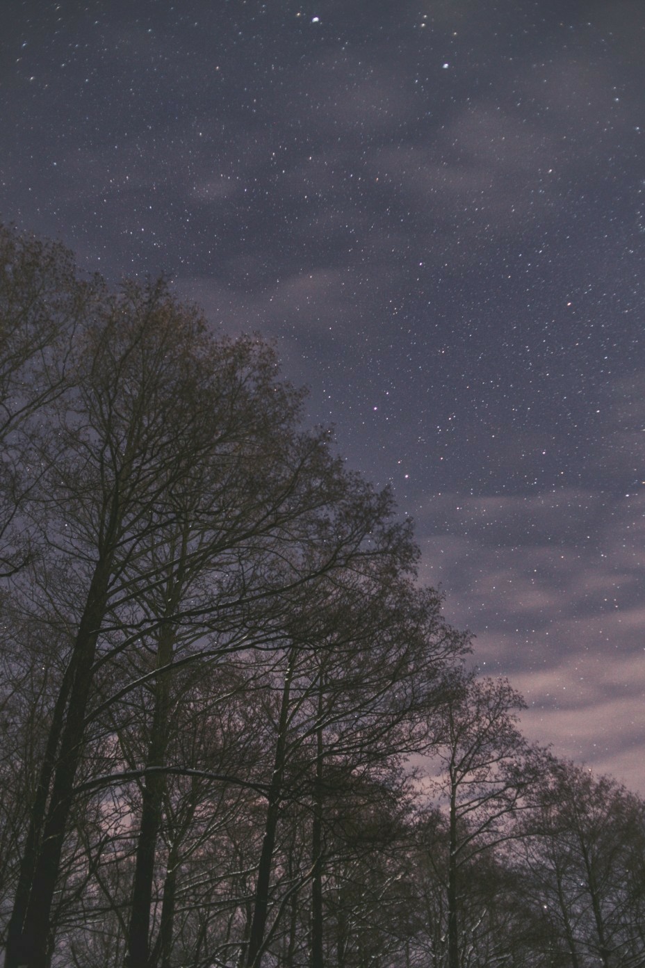 Orion Nebula and Winter Silence - Space, The photo, Astronomy, Winter, Forest, Walk, Longpost