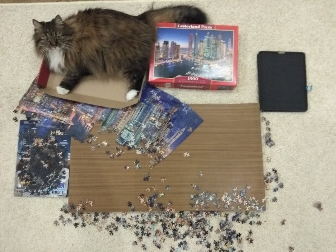 Dubai was almost built...but... - My, cat, Puzzle, Destruction, Collapse, Dubai