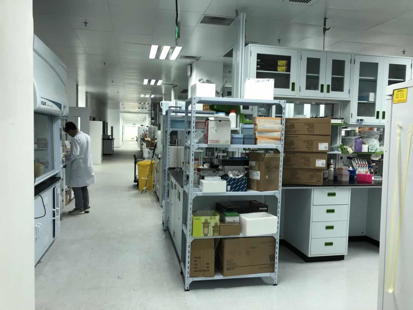Photo of the laboratories of a Chinese scientist who changed the DNA of girls. Where is he now. - Media and press, Longpost, Scandals, intrigues, investigations, Biology, DNA, Fake, Exposure, media, China, My