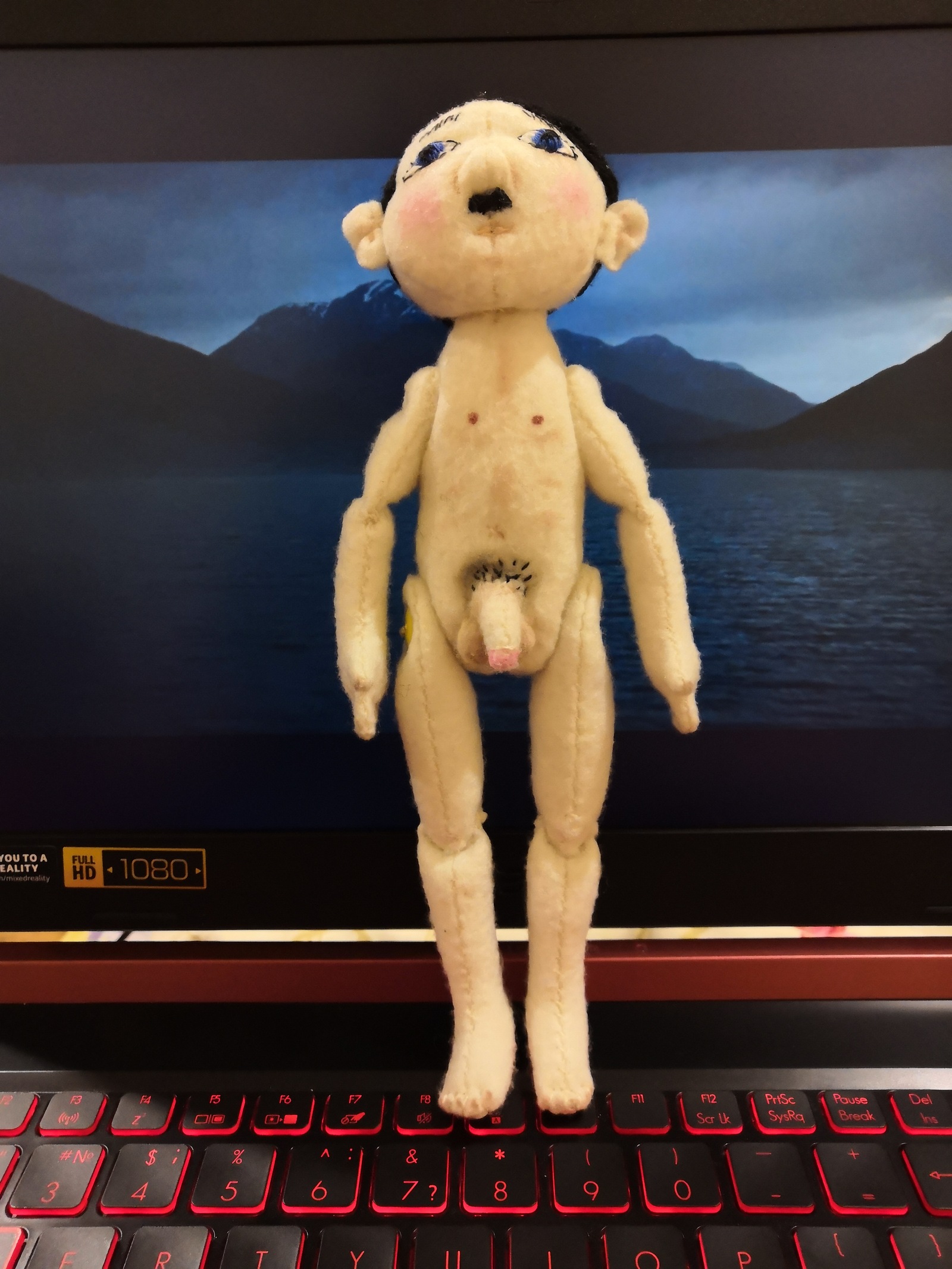 Adolf - playful (do it yourself) - NSFW, My, Humor, Handmade, Handmade, felt toys, Author's toy, Longpost