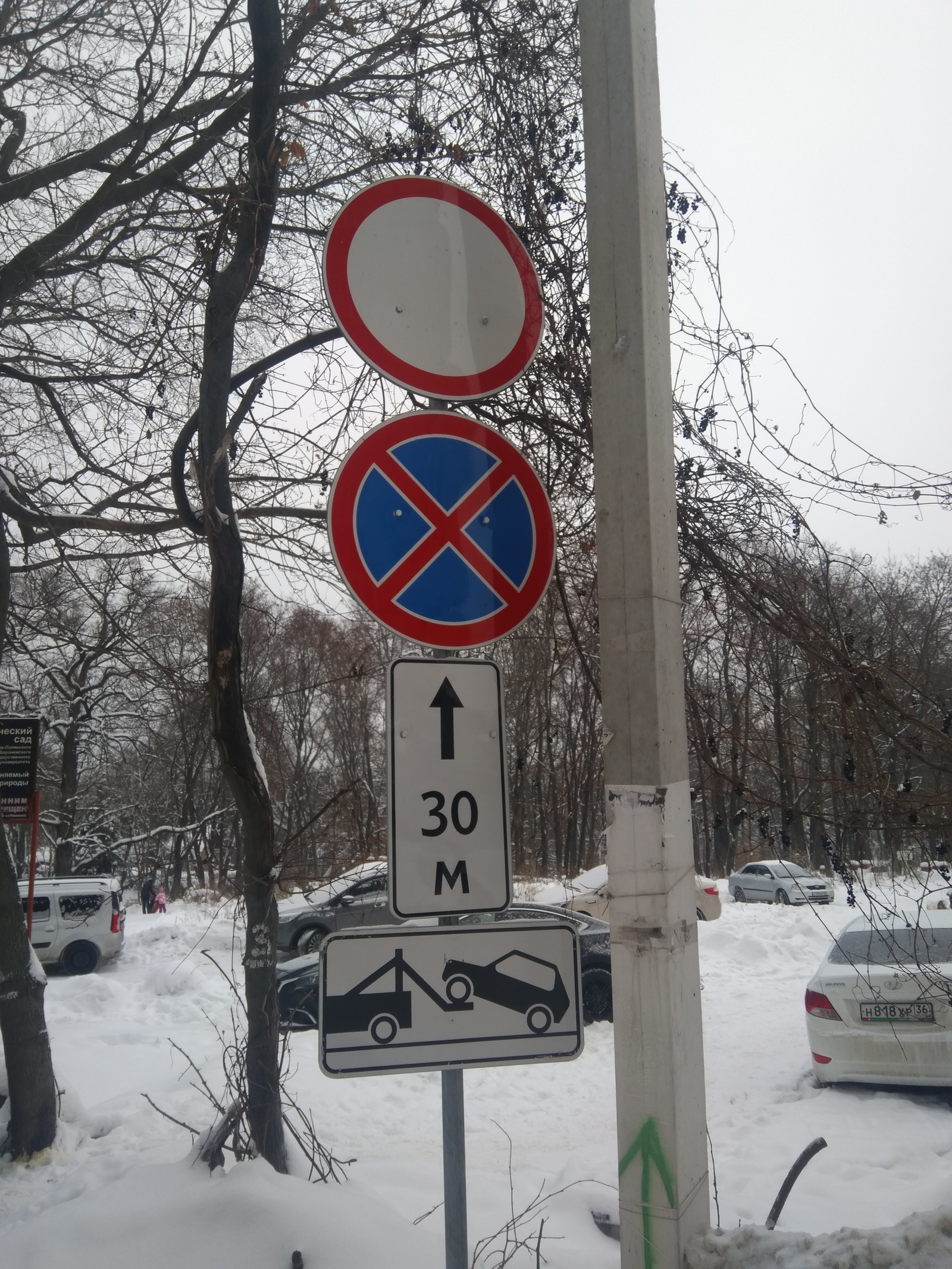 Spontaneous parking in the protected natural area of ??the park - My, Неправильная парковка, Freaks, Longpost