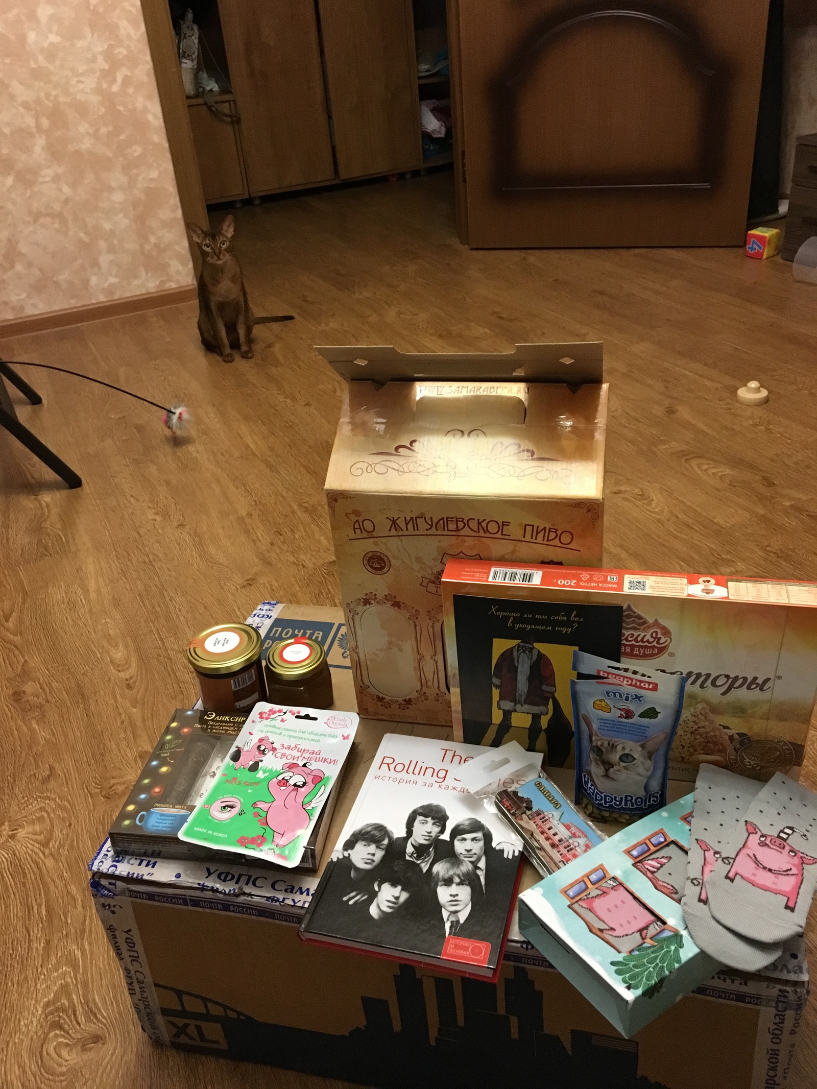 Anonymous Santa Claus from Samara - My, Secret Santa, Presents, New Year, Gift exchange, Gift exchange report, Longpost, cat