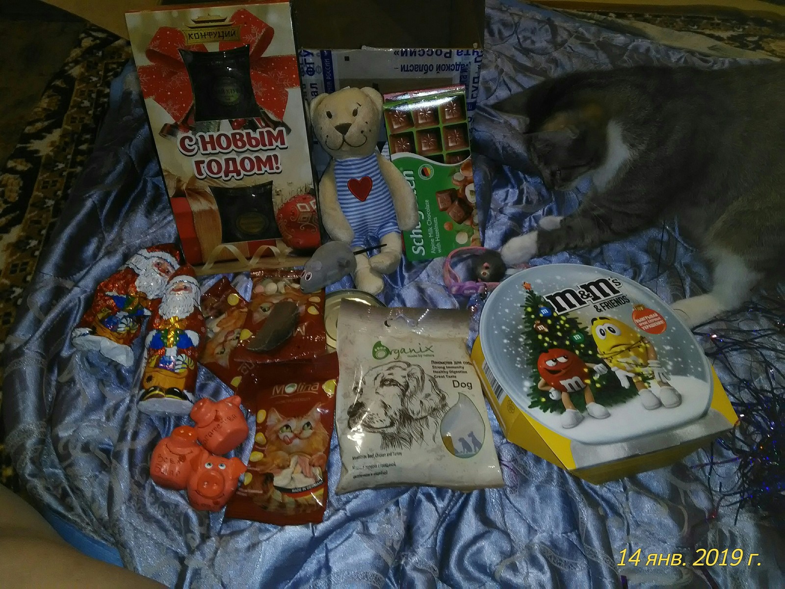 Santa Claus from St. Petersburg to Usolye-Sibirskoye - Gift exchange report, Gift exchange, cat, New Year, Longpost