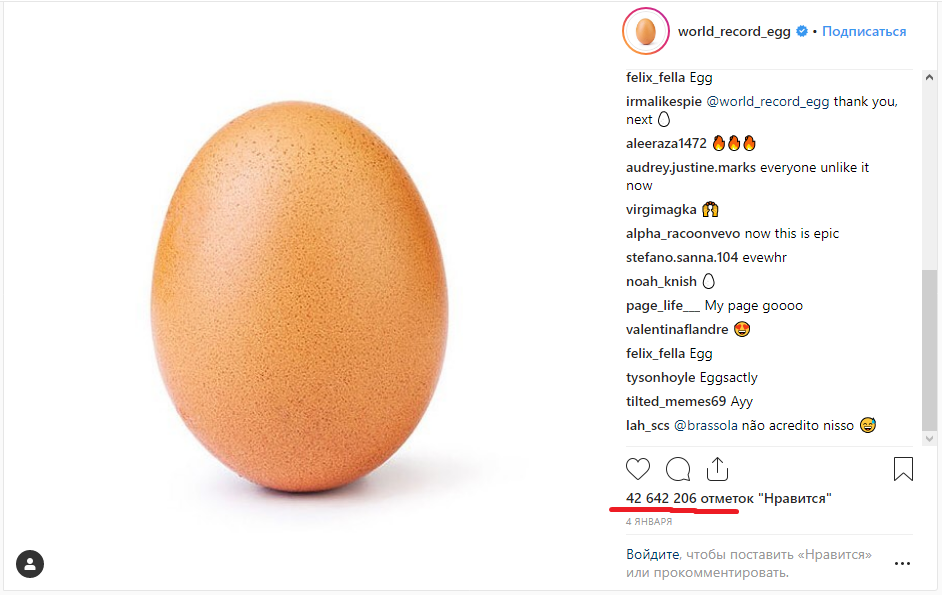 The history of the egg's popularity - Eggs, Instagram, Permian