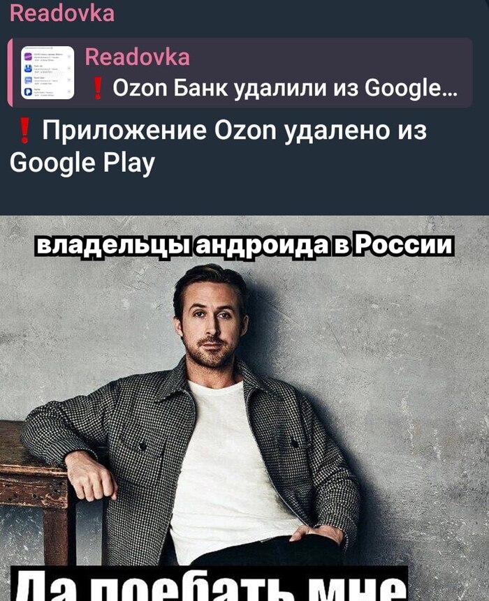 Напугали ёжика пончиком