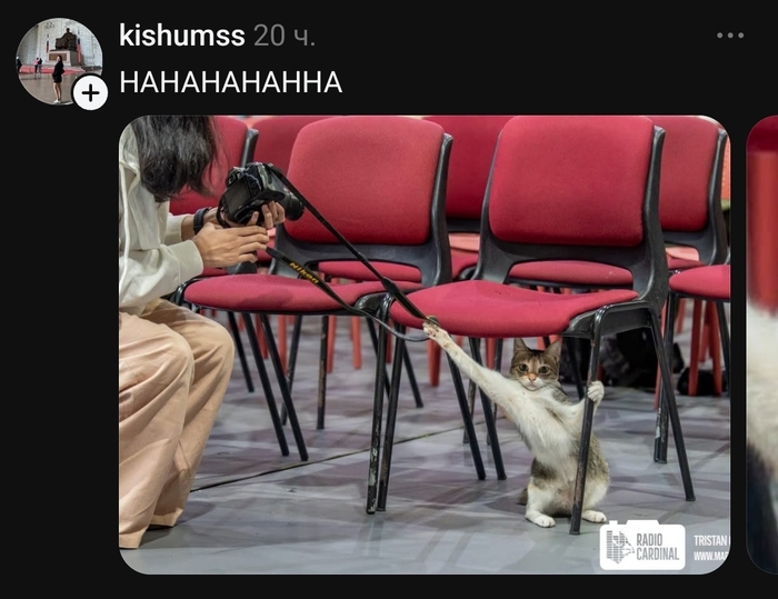 Поймал