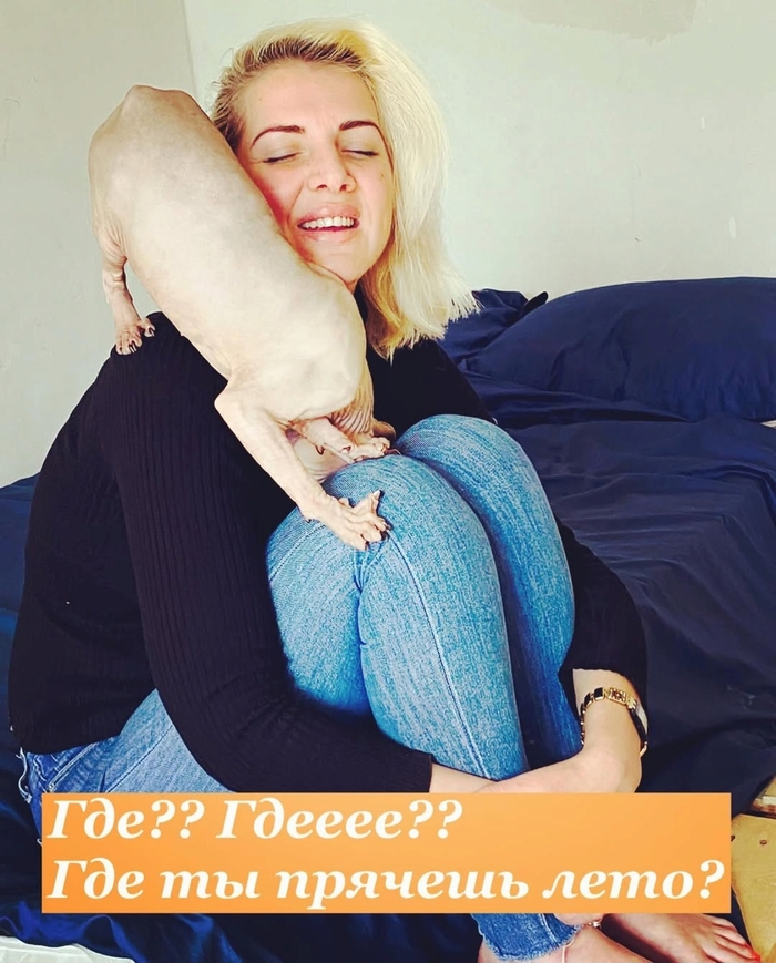 Заголовок)