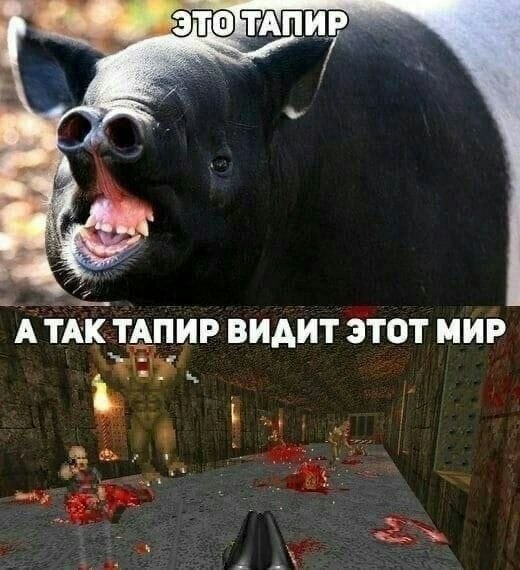 ����������