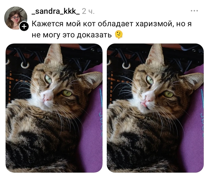 ��� ������ ���������� � �� �����, �� �����