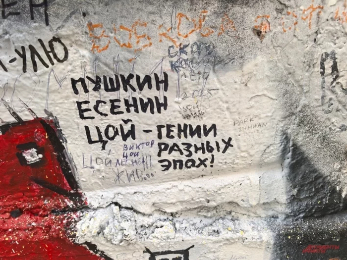 АиФ / Анна Соколова