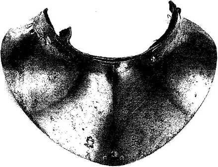 Williams A. R. The knight and the blast furnace... – Brill, 2003. – Т. 12. P. 108