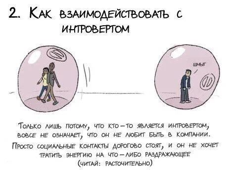 Руководство к пониманию интроверов и в частности ко мне - Интроверт, Психология, Стереотипы, Мифы, Разоблачение, Отношения, Общество, Длиннопост
