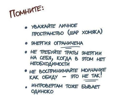 Руководство к пониманию интроверов и в частности ко мне - Интроверт, Психология, Стереотипы, Мифы, Разоблачение, Отношения, Общество, Длиннопост