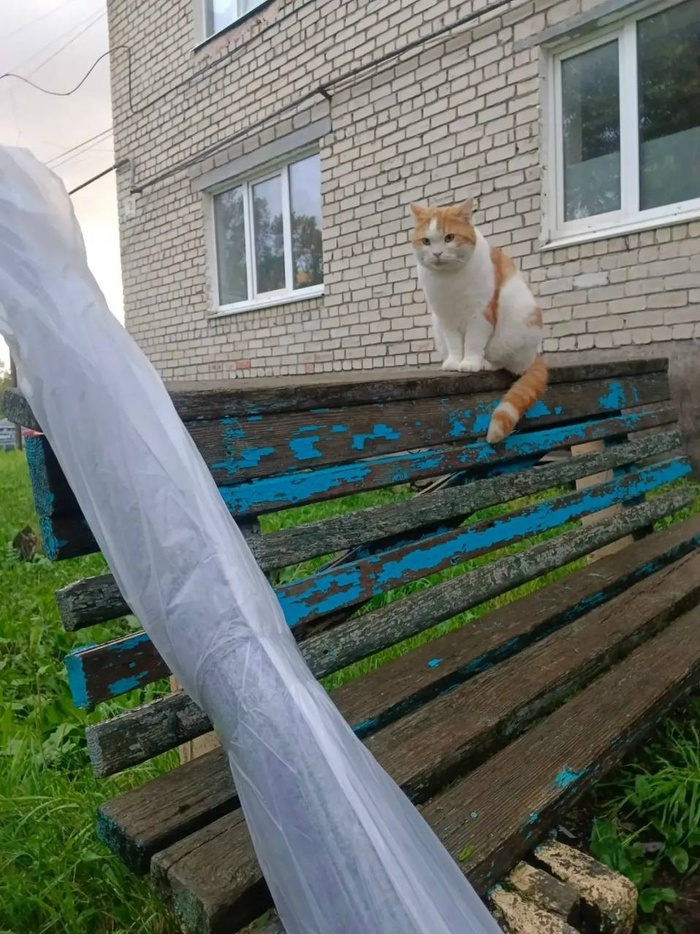 Тайная операция