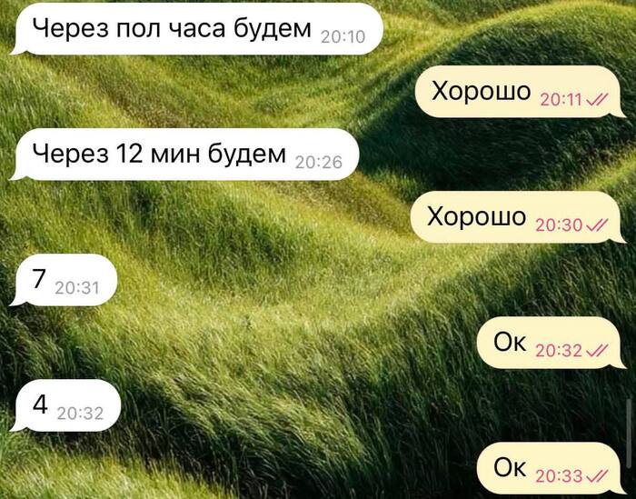 Это тревожник, который хочет чтобы вы не волновались, как он в таких ситуациях