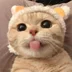 ElfinAlexaKitty