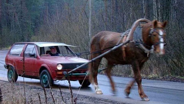 Одна лошадиная сила