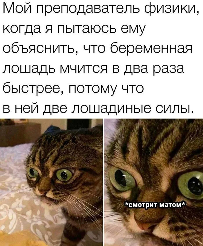 � ��� �� �� ����?