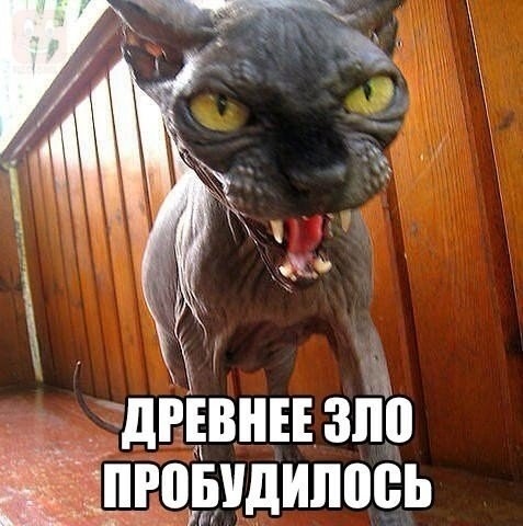 ������