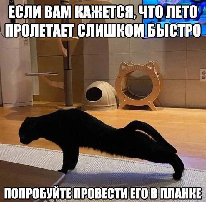 А может не надо...