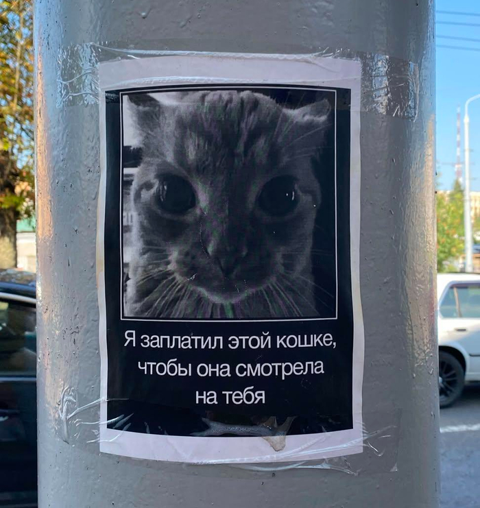�����. ���� ������ ����