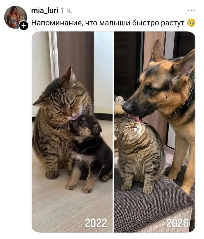 hhdyqk4z.webp