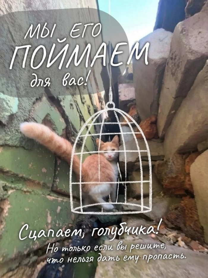 ����� ������� 4 �������
