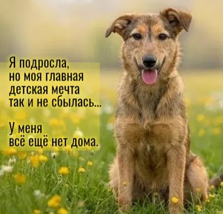 Л О Р А девочка 1